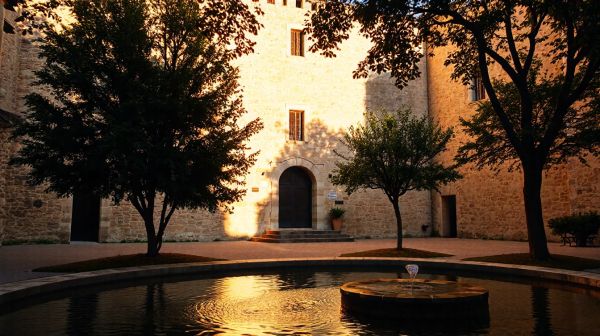 Enovation numérique à Avignon : choisissez ENOLANE pour le SEO